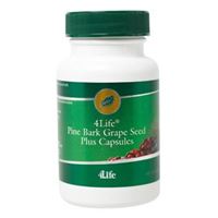 Pine Bark Grape Seed Plus Capsules
